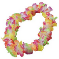 Large Petal Leis/Rainbow